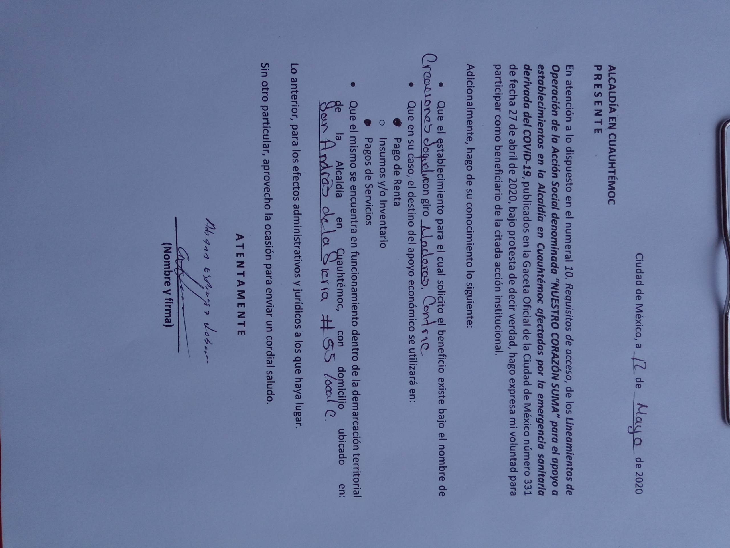 Carta Bajo Protesta de Decir Verdad y Solicitud de Ingreso a la Acción