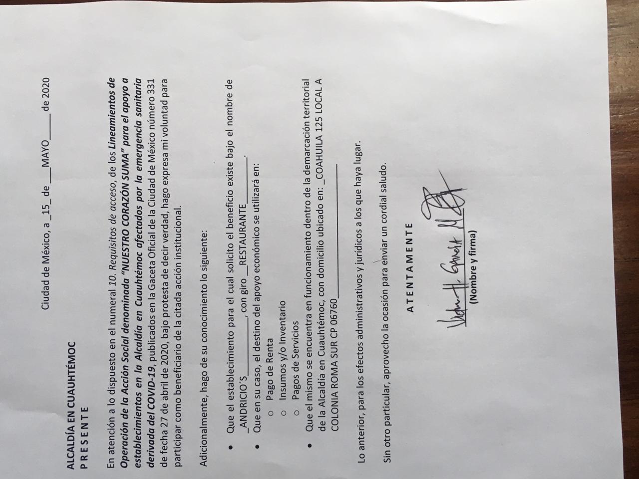Carta Bajo Protesta de Decir Verdad y Solicitud de Ingreso a la Acción